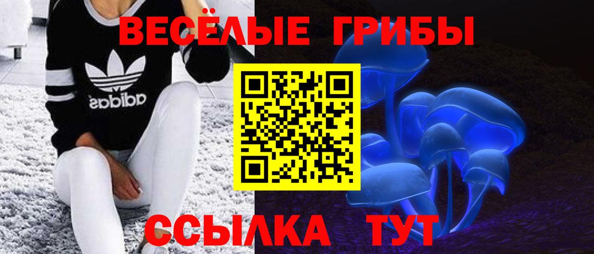 Псилоцибиновые грибы Magic Shrooms Вышний Волочёк